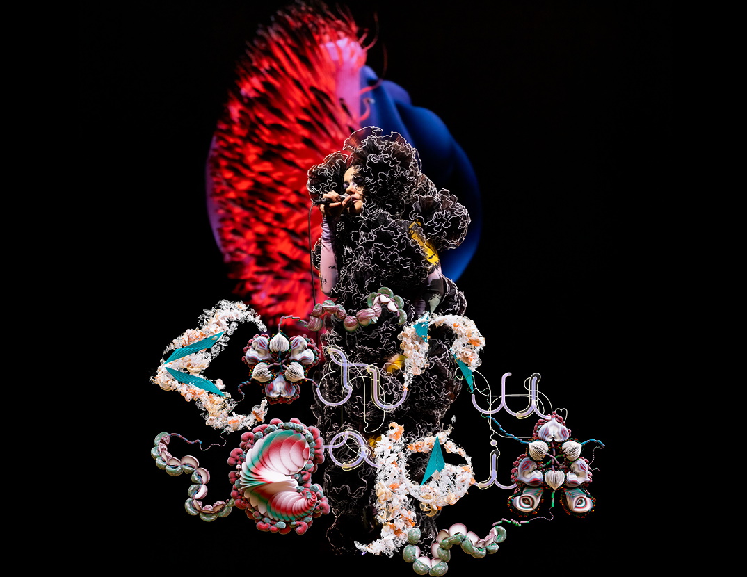 From heartache to healing. Bjorca Experiments and Surprises in Concert Film Cornucopia / Day