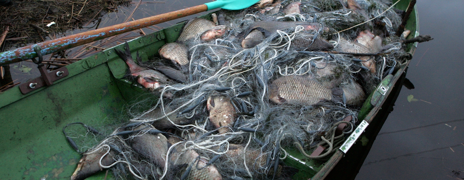 Лов рыбы в беларуси