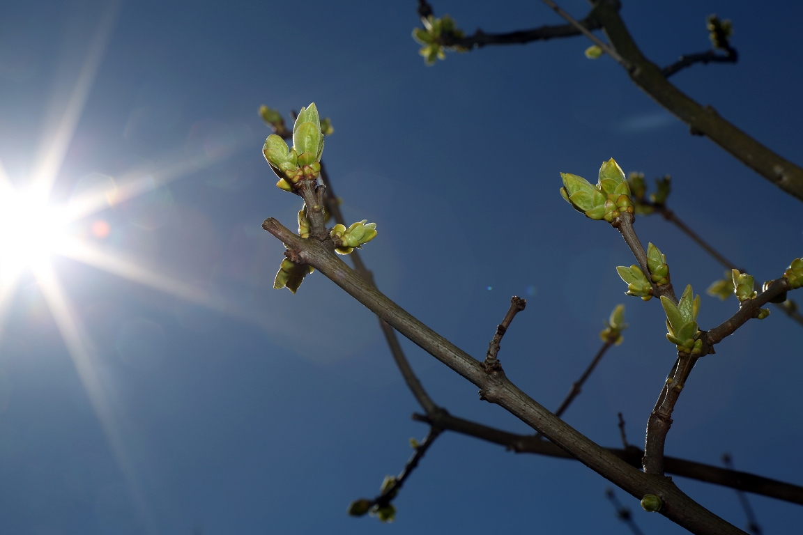 Piektdien laiks kļūs saulaināks
