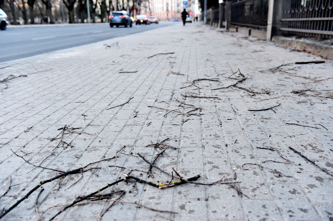 Ceturtdien pūtīs brāzmains vējš un gaisa temperatūra nepārsniegs +11 grādus