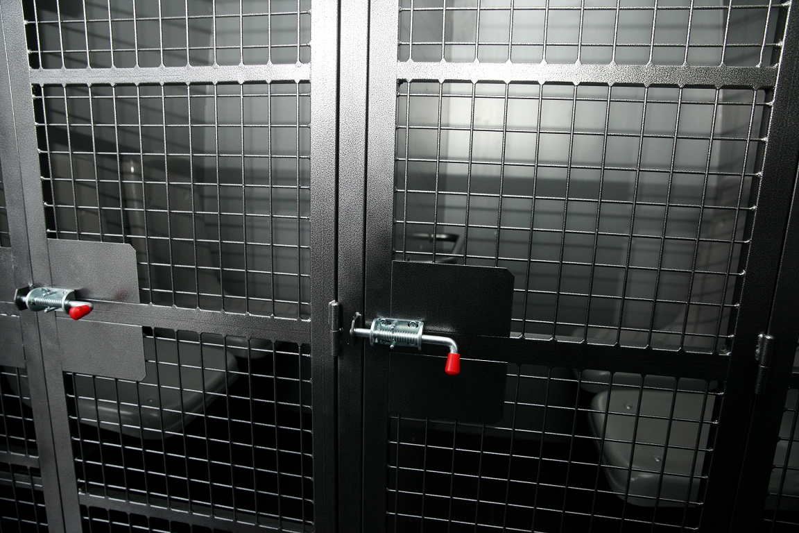 Krievijā aizturēts bijušais Radio Brīvā Eiropa žurnālists