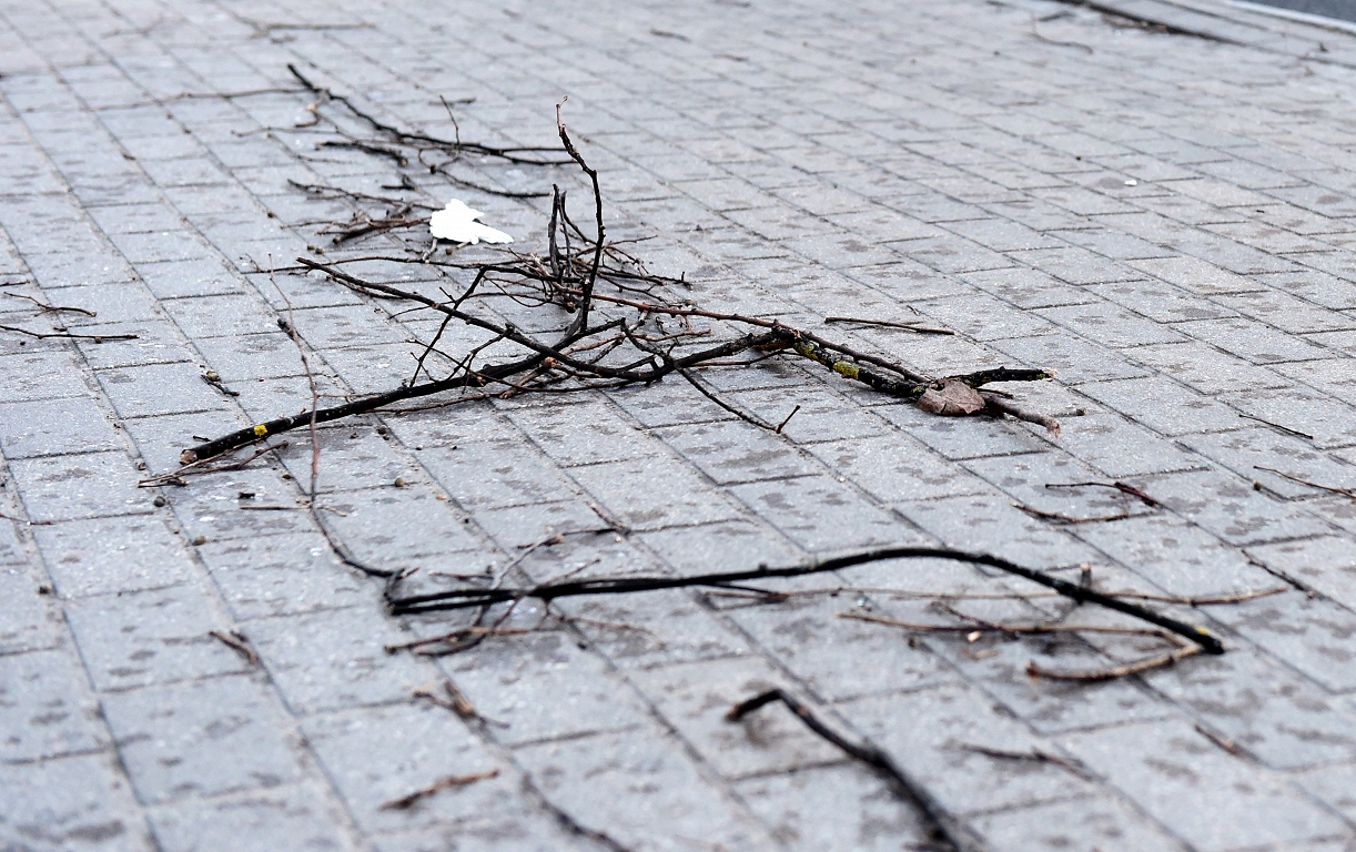 Sinoptiķi brīdina par stipru vēju sestdien un svētdien