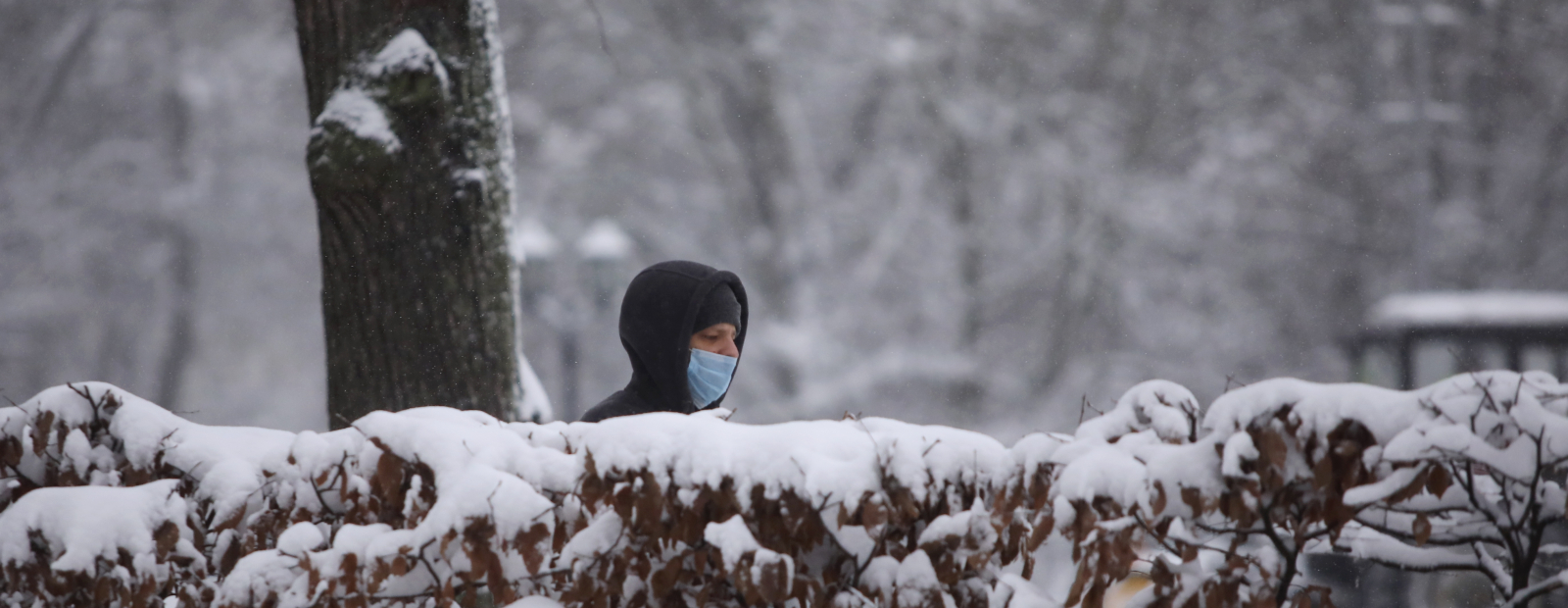 From January 25, only medical masks and respirators / Day will be valid in public places