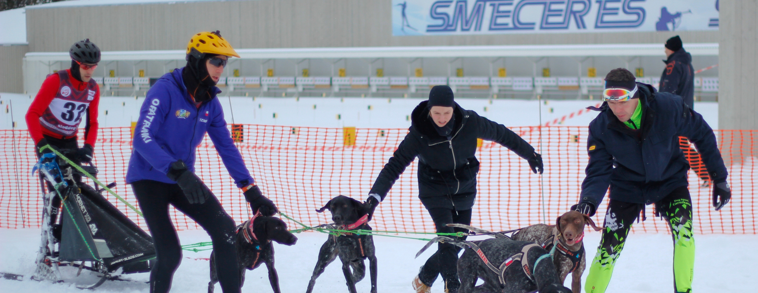 World Cup sledehund Cup / dag