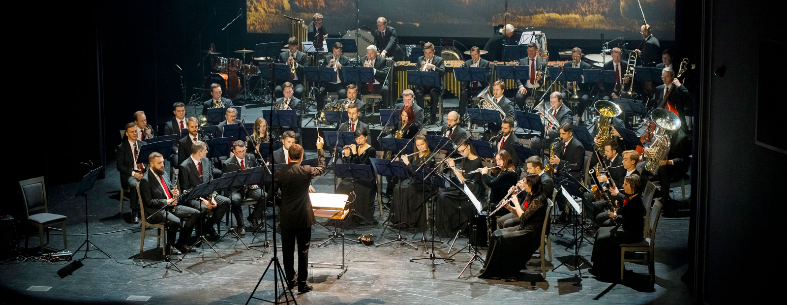 Opuses of the contemporary American composers will be performed at the anniversary concert of the Riga Orchestra / Day