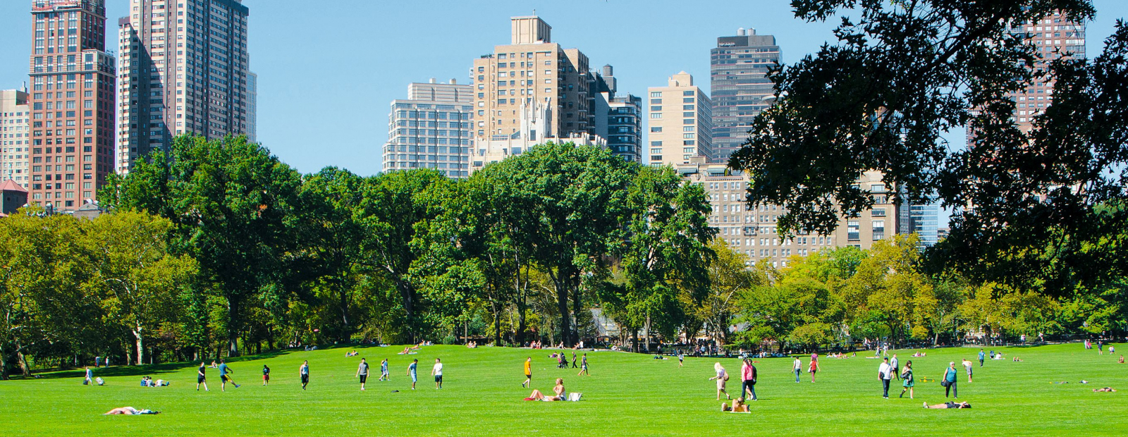 Forests in the city to reduce steam / Day