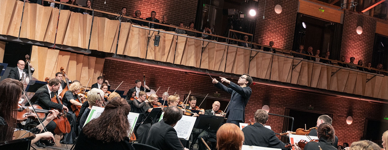 Latvian National Symphony Orchestra announces concerts for the first half of next year / Diena