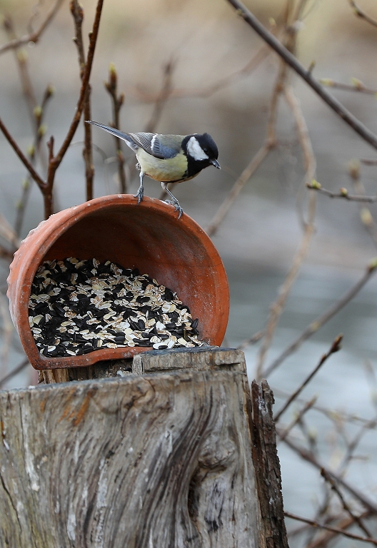 Stiprais vējš pakāpeniski pierims svētdienas gaitā