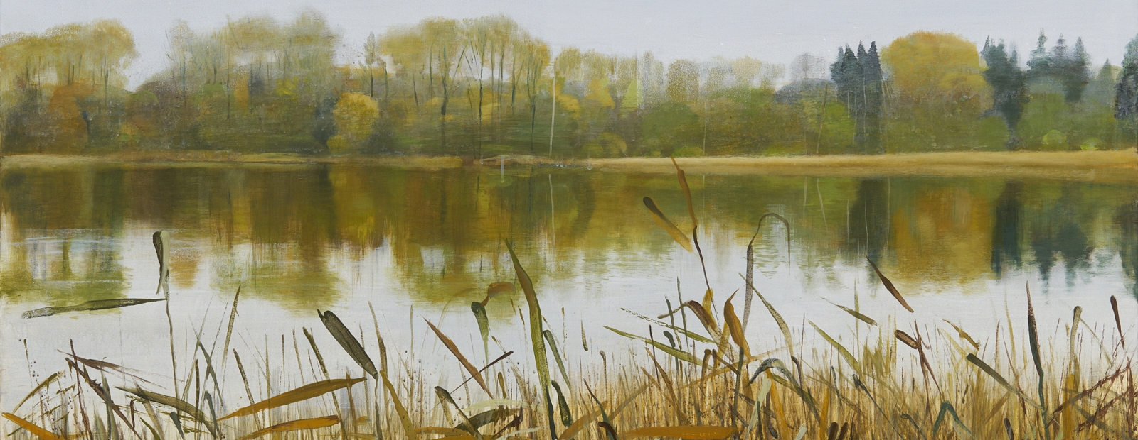 Discover the Stunning Landscapes of Dace Liela’s Award-Winning Exhibition