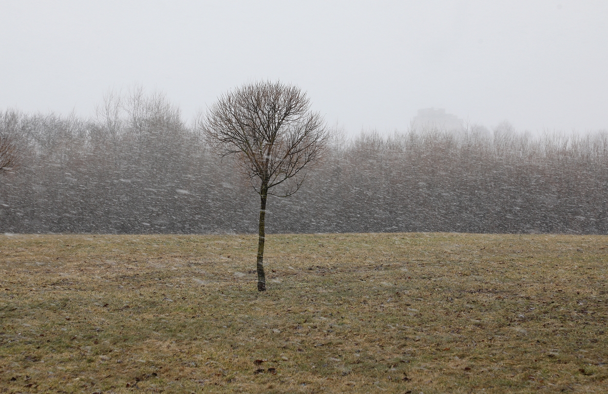Darba nedēļas sākumā turpināsies brāzmains vējš, kuru pavadīs slapjš sniegs