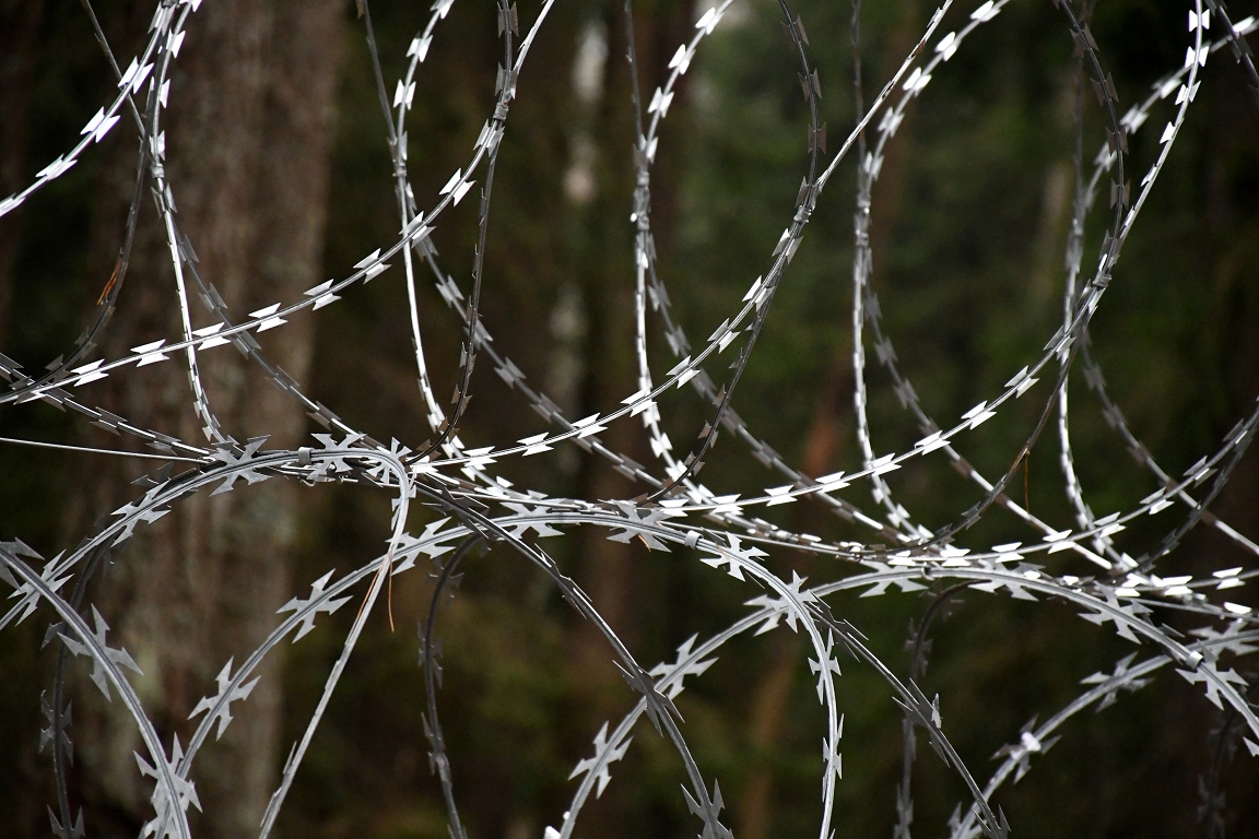 Otrdien Latvijā no Baltkrievijas nelikumīgi mēģinājuši iekļūt 66 imigranti