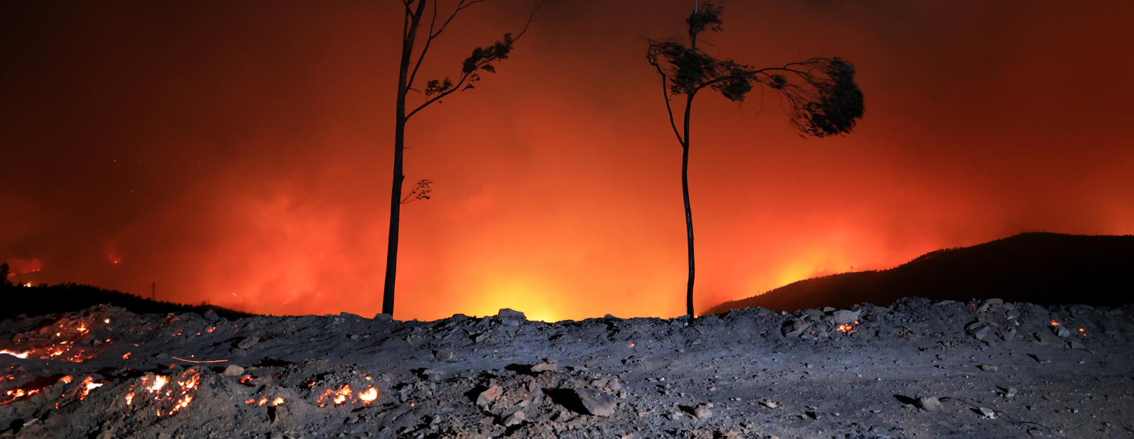 ポルトガルは山火事との戦いを続ける / 日