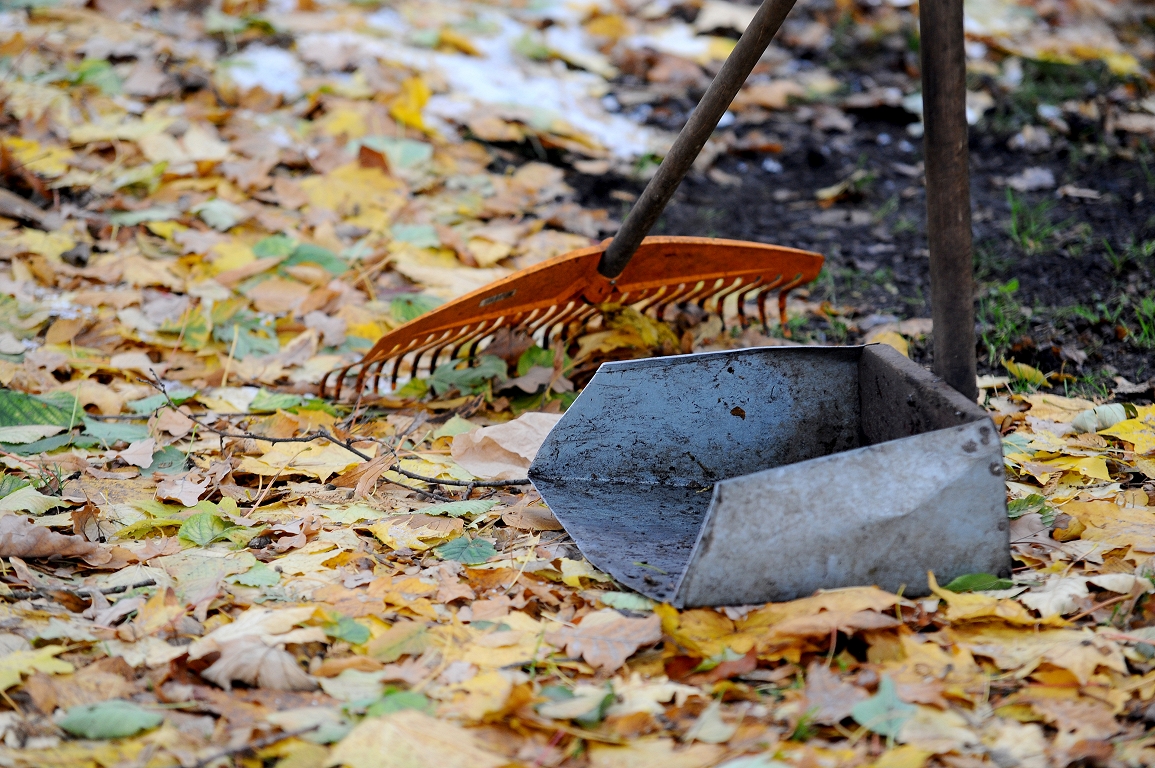 Reģistrētā bezdarba līmenis Latvijā oktobra beigās saglabājās 4,7%