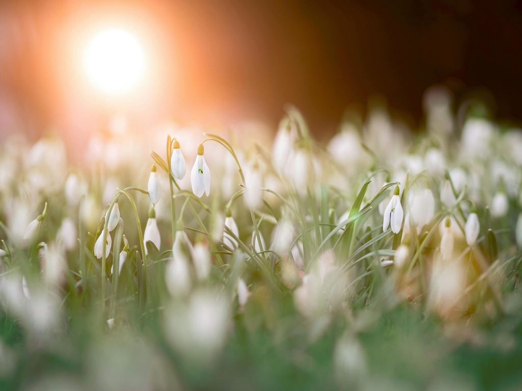 Nedēļas horoskops: 11. - 17. aprīlis