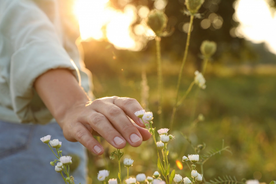Natural ways to strengthen the nervous system and reduce stress / day