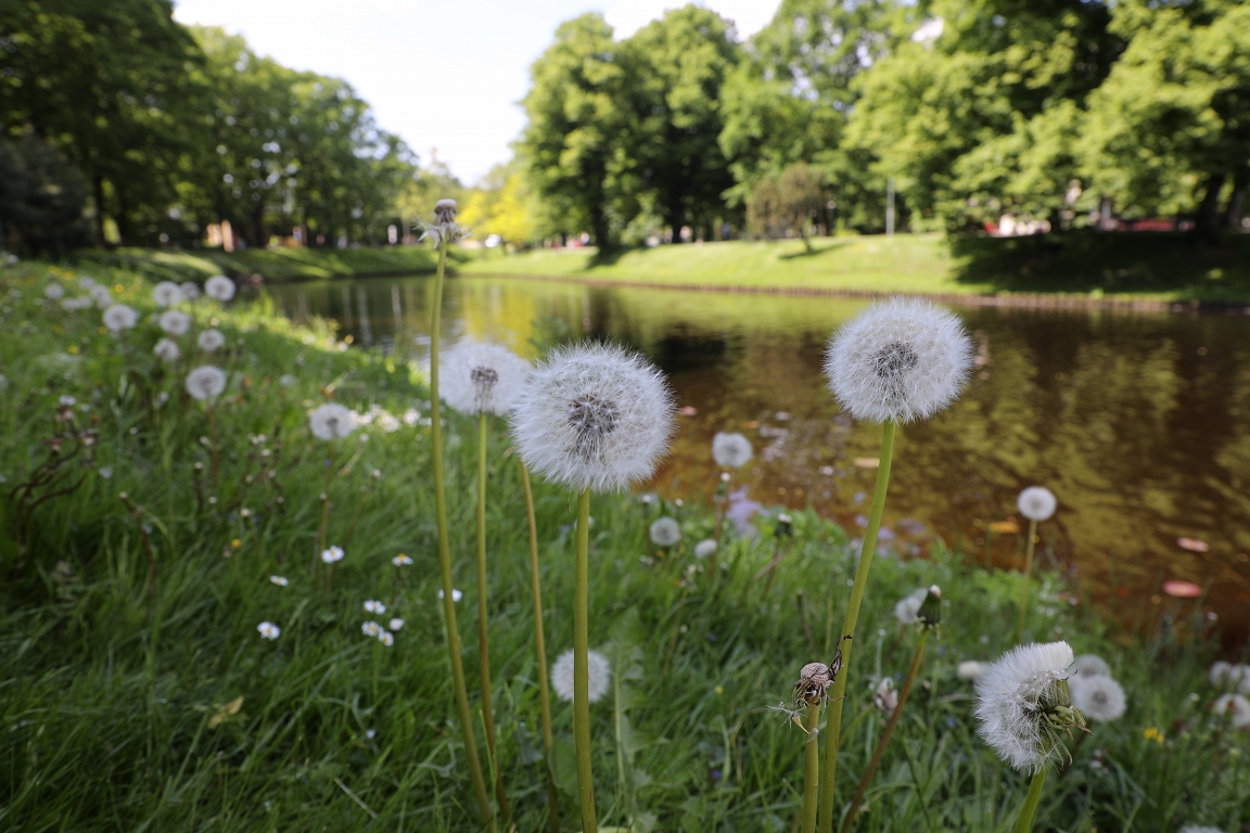 On weekends the sun will be with clouds, next week will start with a thing / day