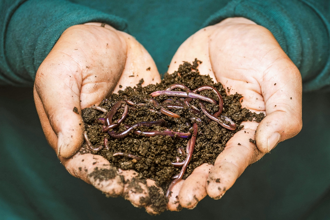 Composting in the city / day
