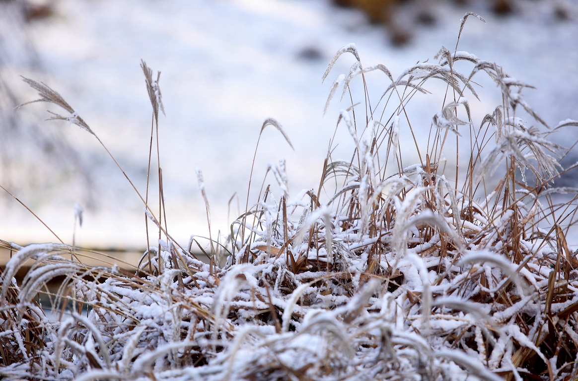 Svētku brīvdienās brīžiem gaidāma saule, lietus un sniegs