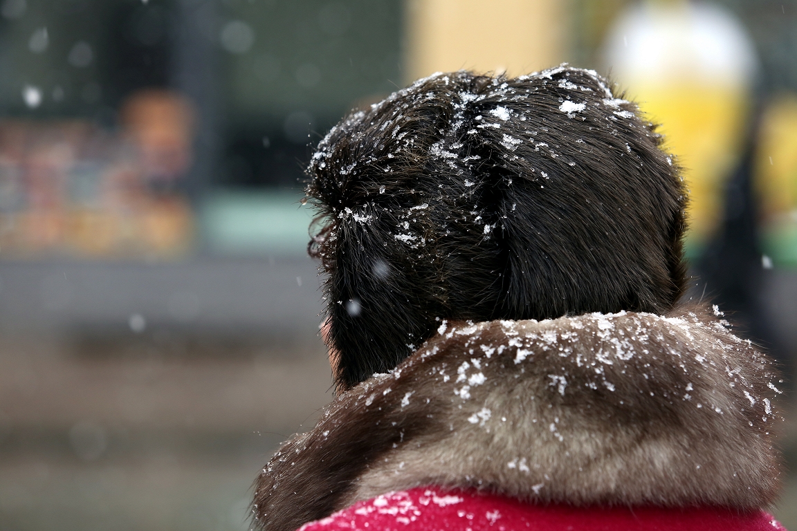 Sestdien dienas pirmajā pusē gaidāmi nelieli nokrišņi