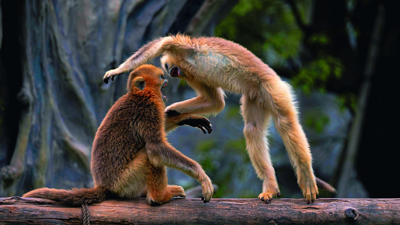 Trokšņošana nepatīk nekur