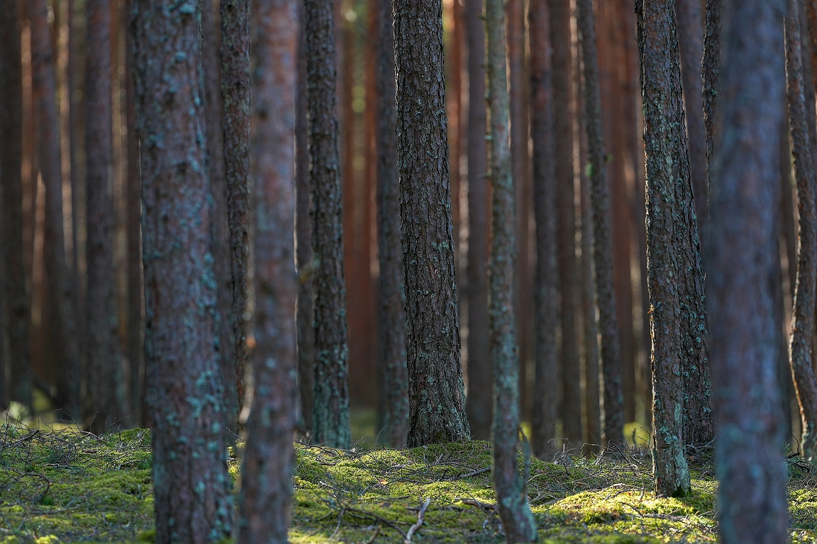 Ne visas investīcijas ir līdzvērtīgas