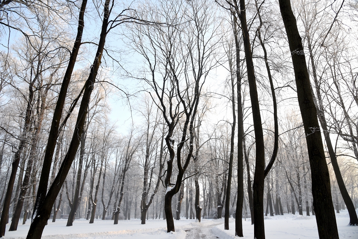 Otrdien vietām gaidāms neliels sniegs