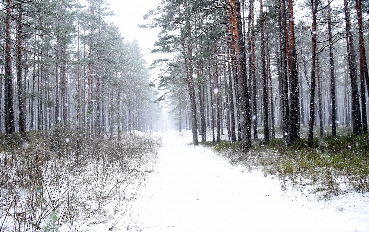 Trešdien debesis klās mākoņi un nedaudz snigs