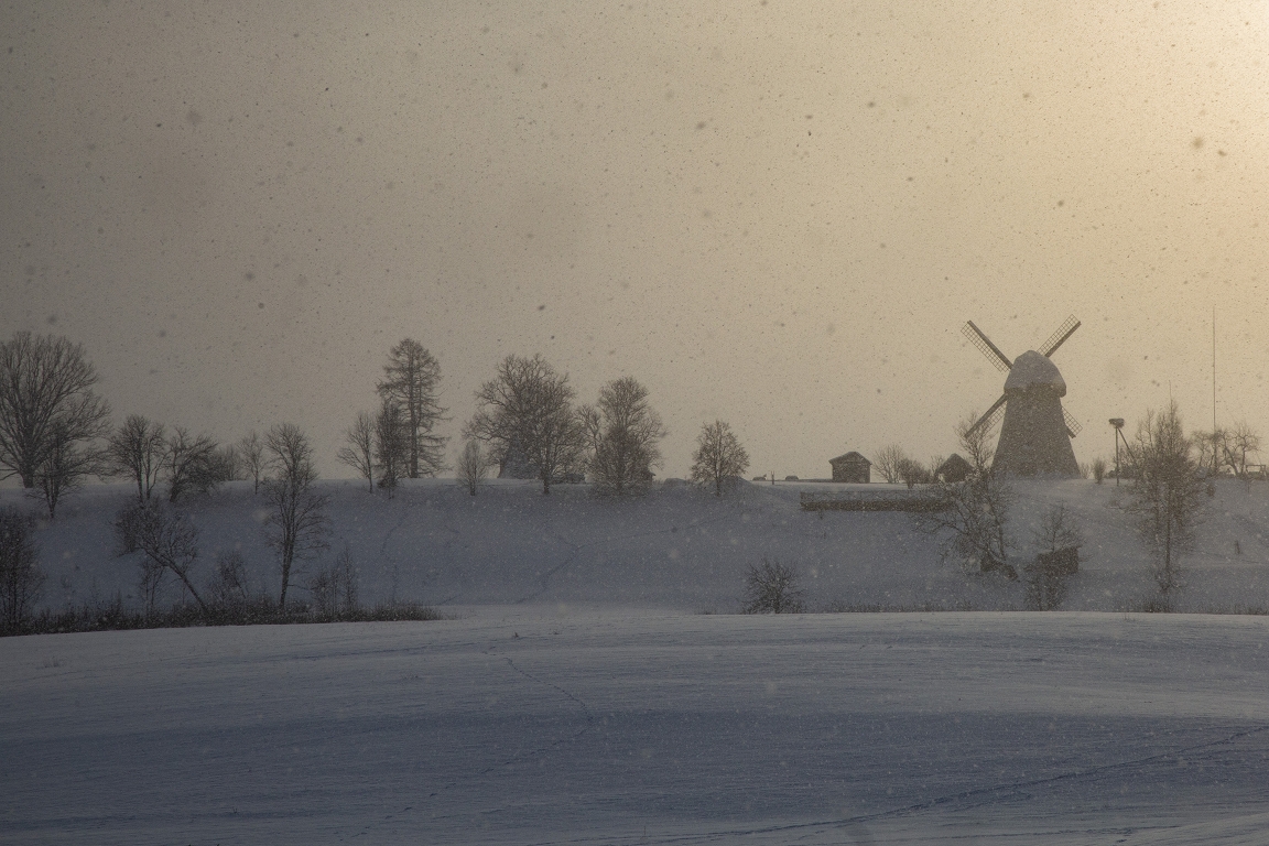 Līdzšinējais sals ziemāju sējumus neapdraud, atzīst lauksaimnieki
