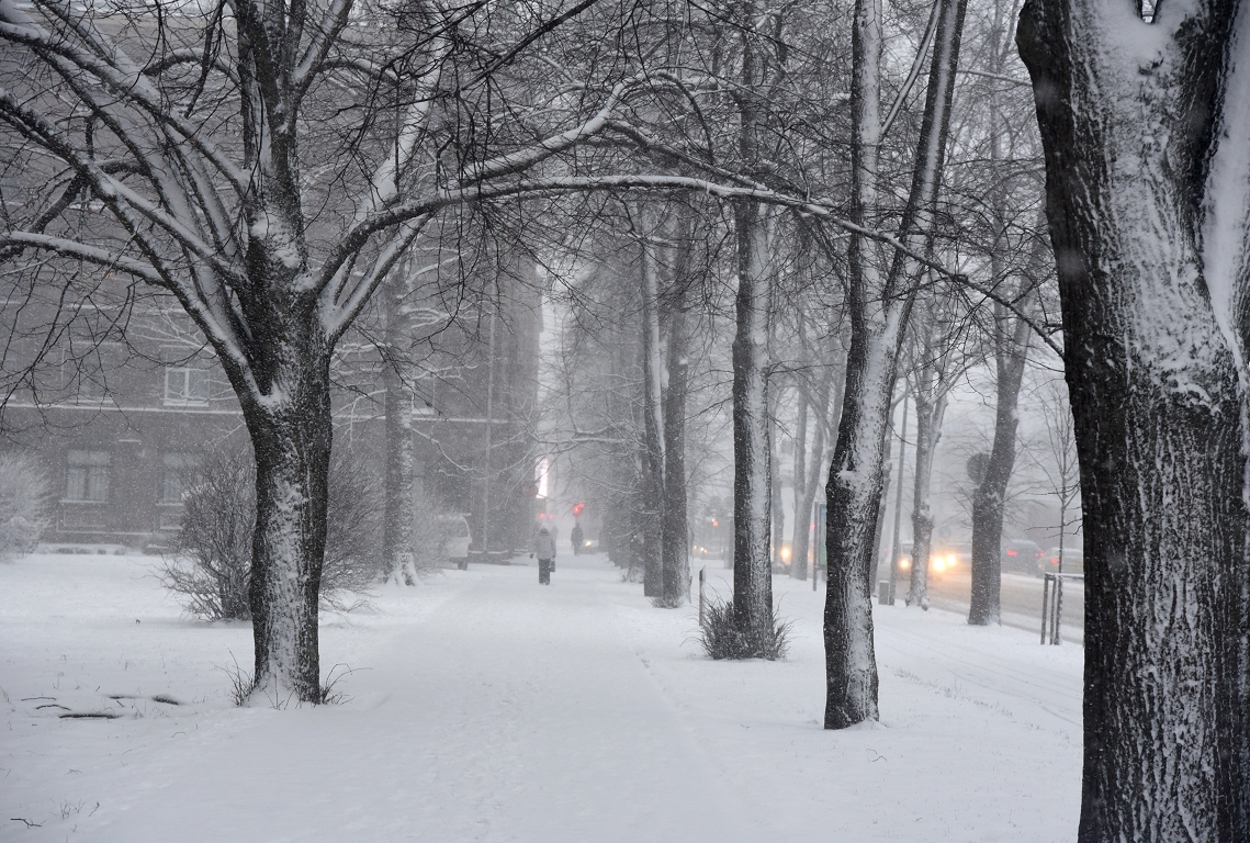 Valsts dienvidaustrumu daļā sniega sega kļūs par 15-20 centimetriem biezāka