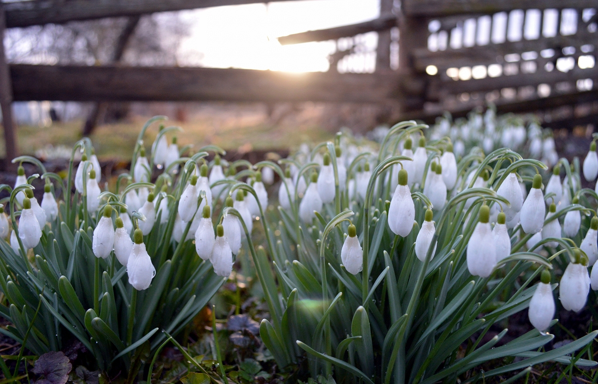 Marta pēdējās dienās nav gaidāmi lieli nokrišņi