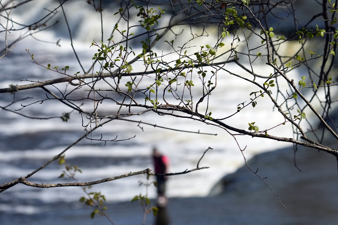 Nedēļas sākumā gaidāmi nokrišņi, bet otrajā pusē - saule
