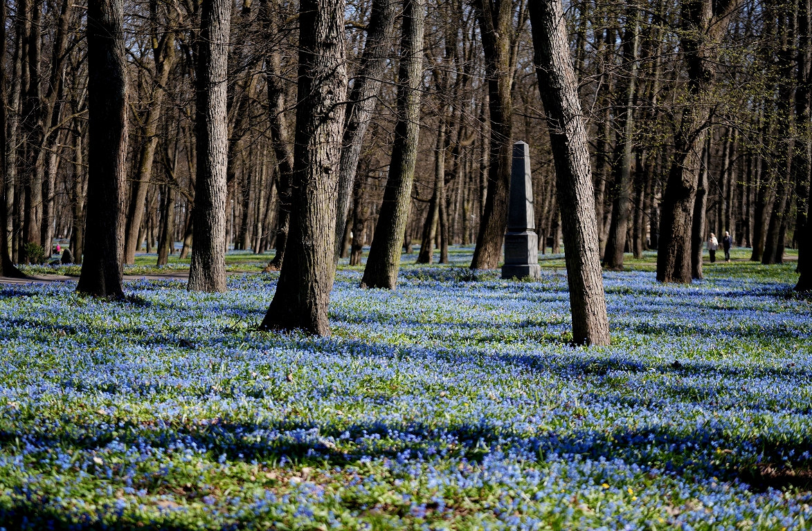 Otrdien saglabāsies mākoņains un mitrs laiks, ar nokrišņiem plašākā teritorijā