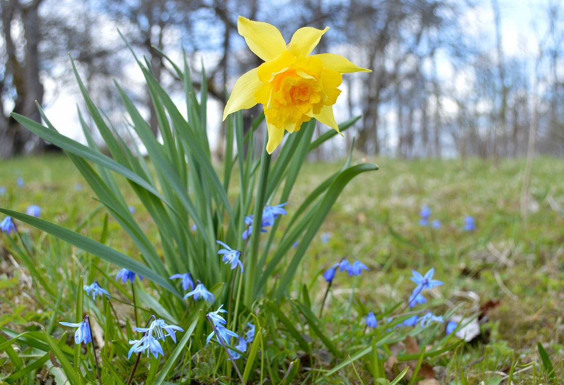 Trešdien laiks kļūs saulaināks