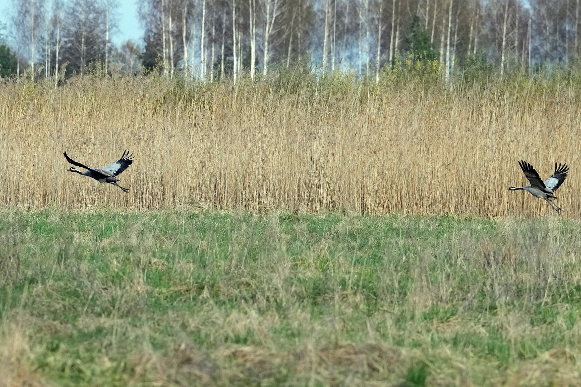 Otrdien turpinās pūst brāzmains vējš