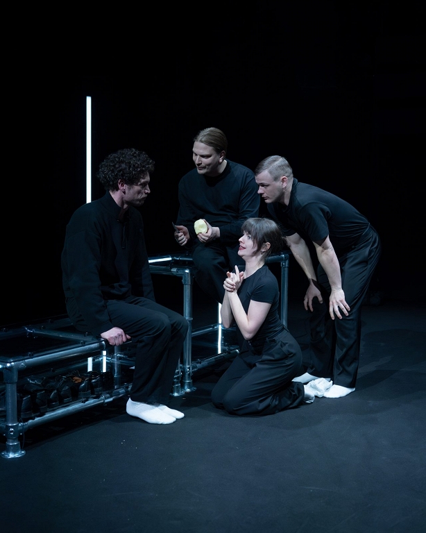 Skaistās sejas lāsts