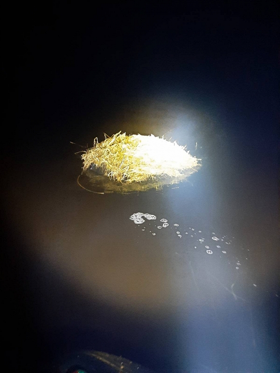 Kontrabandisti cigaretes pludina pa Daugavu traktora riepās